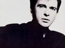 Peter Gabriel So/ GHS 24088/1986/ Vinyl, LP, Album RecordFAST,FREE SHIPVG+/VG+
