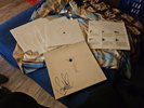 cocoon compilation A vinyl 6x12
