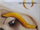 A Perfect Circle - Thirteenth Step (2xLP, Album, RE) (Mint (M)) - 3023747065