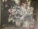 La Dispute - Wildlife - DOUBLE VINYL RECORD (GRAY MARBLE)