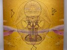 Devendra Banhart – What Will We Be AUTOGRAPHED 180g GATEFOLD Vinyl 2LP / Folk