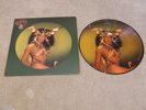 LP CHER PICTURE DISC TAKE ME HOME NBPIX 7133 USA CASABLANCA 1979