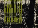 Fields Of The Nephilim - Returning To Gehenna (12