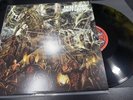 Internal Suffering Rituals Vinyl 12” Cannibal Corpse Deicide Defeated Sanity