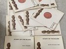 Story Of The Blues 14 Album Complete Release Set Blues Panorama Vinyl Rare Blues