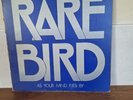 Rare Bird As Your Mind Flies By Textured Sleeve LP Album Vinyl Record - Ex +/ G