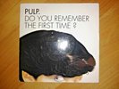 Pulp   Do You Remember The First Time 7 '' Inch vinyl  1994