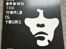 ian brown vinyl - The World Is Yours