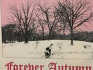VERY RARE  Go Mental 2 VINYL— FOREVER AUTUMN— DJ SUPREME &UFO