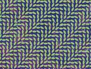 Animal Collective MERRIWEATHER POST PAVILION New BLUE/GREEN COLORED VINYL 2 LP