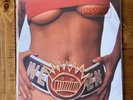 Ween-Chocolate and Cheese 2009 Plain Recordings 2xLP Vinyl NM Never Played