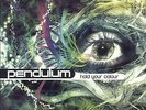 Pendulum - 'Hold Your Colour' (2018) Triple Vinyl Record, 3 x LP, opened