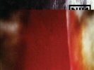 Nine Inch Nails The Fragile Records & LPs New