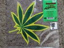 Cheech And Chong Up In Smoke Weed Shape Vinyl Picture Disc (RSD 2019) Rare New