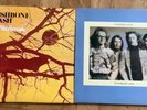 Wishbone Ash Pilgrimage & Wishbone Four UK LP MCA 1st POSTER Both Gatefold 1971