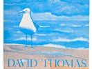 David Thomas and The Pedestrians Variations on a Theme, 1983 LP Plurex VR22619