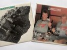The Undertones And Hypnotised (Mint Vinyl) 12