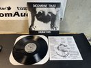 Saccharine Trust Pagan Icons LP 1981 SST Records California Punk Album USA SHIP