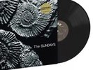 The Sundays Reading, Writing And Arithmetic LP Black Vinyl 2024 Interscope Ex