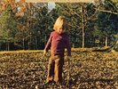 The Allman Brothers Band - Brothers And Sisters. Vinyl 12” Album NEW & SEALED