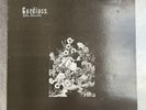 Cardiacs - The Seaside - RARE LP - VINYL - 1984 - ALPH LP013