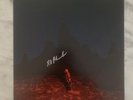 SIGNED Phoebe Bridgers Punisher (Insert Only, No Vinyl Record) BOYGENIUS SIGNED