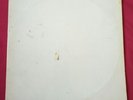 The Beatles - White Album Early Reissue Vinyl Record LP Embossed Apple Stereo
