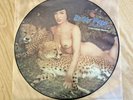 Betty Page Jungle Girl Exotique Music Picture Disc LP QDK Media PIC LP 017