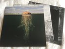 The Mars Volta  De-Loused In The Comatorium Vinyl LP