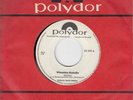 Martin Böttcher - Winnetou Melodie / Black Molly- Polydor Weissmuster Promo 1964