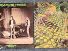 2 LPs Screaming Trees - Even If and Especially When + Invisible Lantern NM/EX