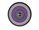 Olivia Rodrigo Guts Spilled Vinyl Blood Records Hand Numbered Zoetrope
