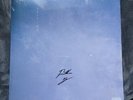 Eden - Vertigo SIGNED Transparent Vinyl RARE