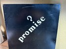 Private 1980 Psych Power Pop Lp PROMISE s/t CUMULUS Real People Colorado Obscure