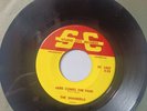 THE SHANDELLS rare wisc. garage band vg++ 