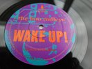 The Boo Radleys WAKE UP 1995 UK LP BRITPOP PLAYS NEAR MINT HEAR