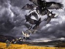 David Gilmour Rattle That Lock (Vinyl) 12
