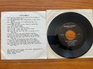 Lizerds 7” 45 Is It Late/out Of My Hands RARE Punk With Lyric Insert