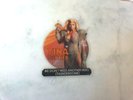 TINA TURNER (Mad Max Thunderdome) We Don't Need Another Hero SHAPED PICTURE DISC