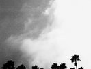 Radiation Breeze [VINYL], Richard Rose, Vinyl, New, FREE & FAST Delivery