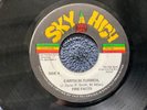 FIRE FACTS - EARTH IN TURMOIL rare JAMAICAN / ROOTS REGGAE / DUB / SKY HIGH / EX