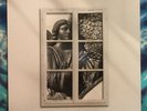 St. Paul & The Broken Bones LP Angels In Science Fiction CLEAR WITH LEAVES Rare