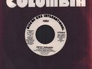 Abba Estoy Sonando I Have A Dream 7