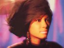Dee C. Lee Shrine (Vinyl) Expanded  12