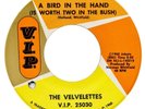 THE VELVELETTES A Bird In The Hand (Is Worth Two In The Bush) '65 V.I.P. 45 VG+