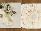 The Wonder Years - Burst & Decay volume 1 acoustic vinyl EP record RARE and OOP