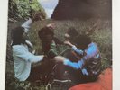 SOFT BOYS / ROBYN HITCHCOCK : Invisible Hits LP M- 1986 MIDNIGHT MUSIC UK IMPORT