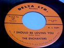 The Enchanters -Northern Soul Promo -EX VINYL & EX AUDIO- I Should Be Loving You