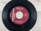 The Charades Flamingo / Someone’s In The Kitchen With Dinah 45 RPM Skylark 7”