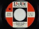Northern Soul 45 - Hoagy Lands - The Next In Line - Laurie